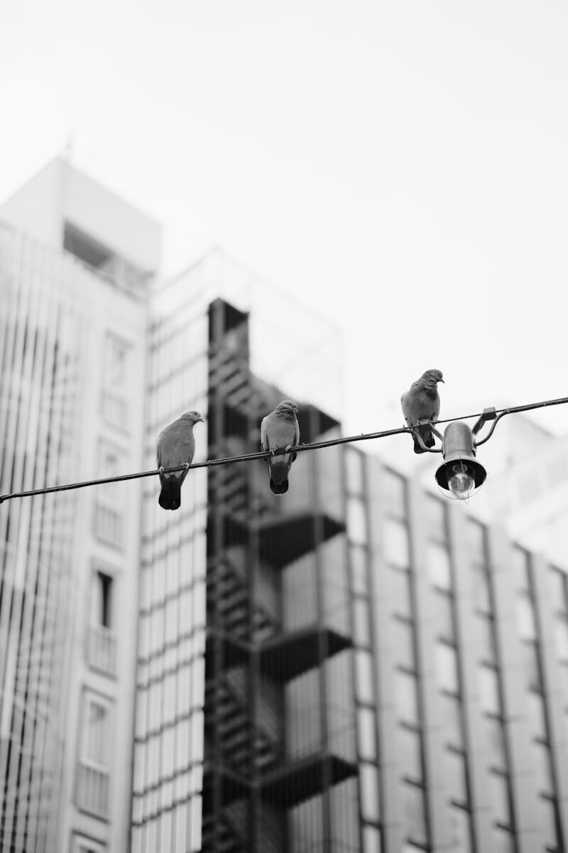 Arbitration in franchise agreements