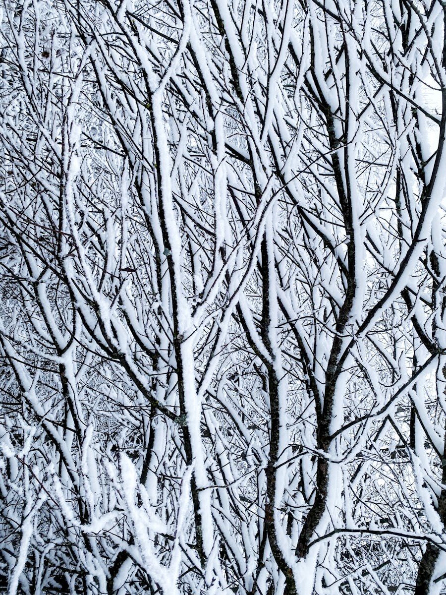 Best practices for contract storage